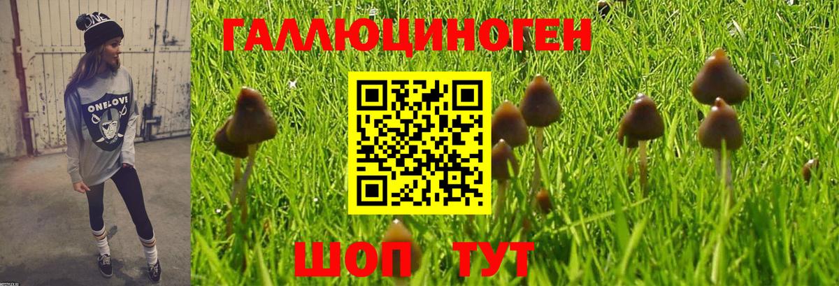 Псилоцибиновые грибы Magic Shrooms Мытищи