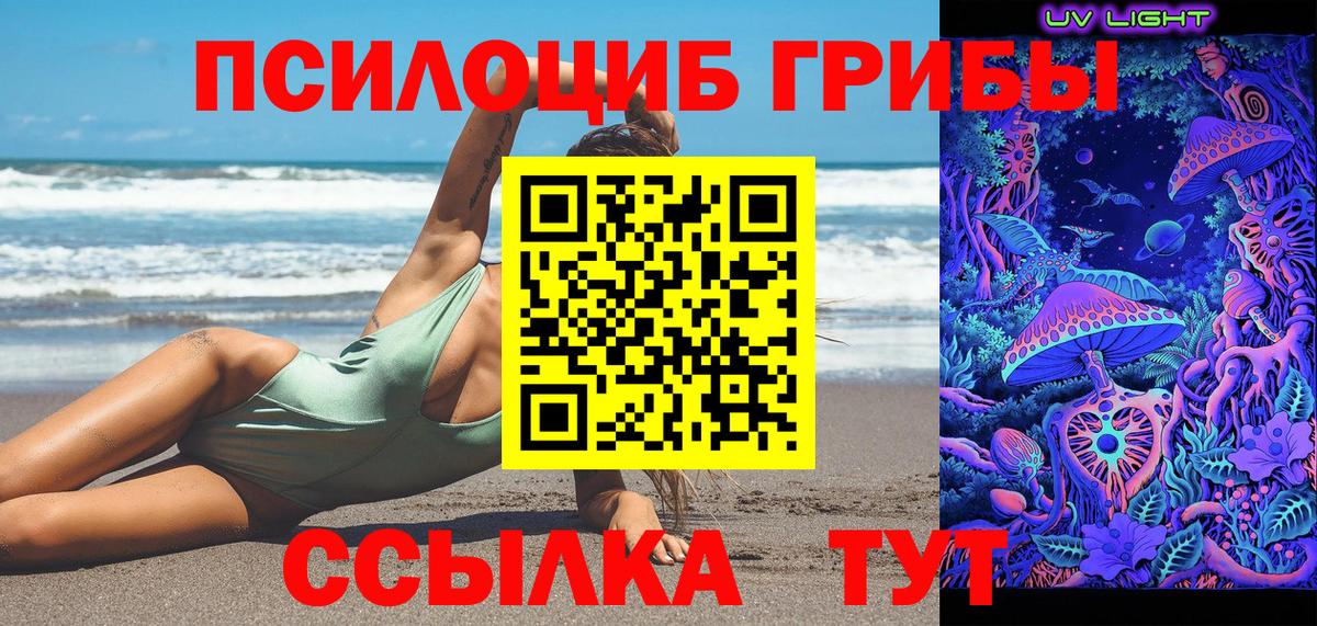хочу наркоту  Вход с VPN  Мытищи  Псилоцибиновые грибы MAGIC MUSHROOMS 